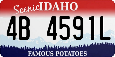 ID license plate 4B4591L