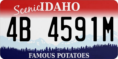 ID license plate 4B4591M