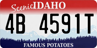 ID license plate 4B4591T