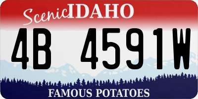 ID license plate 4B4591W