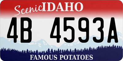 ID license plate 4B4593A