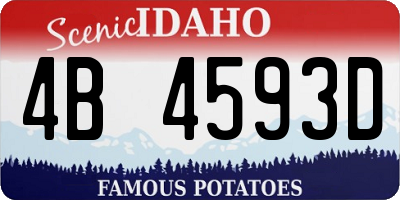 ID license plate 4B4593D