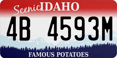 ID license plate 4B4593M