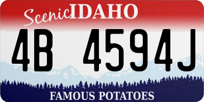 ID license plate 4B4594J