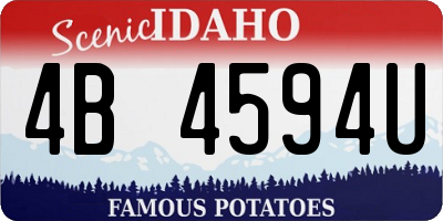 ID license plate 4B4594U