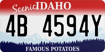 ID license plate 4B4594Y