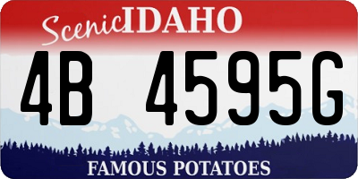 ID license plate 4B4595G
