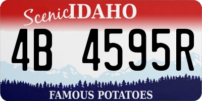 ID license plate 4B4595R