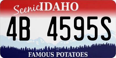 ID license plate 4B4595S