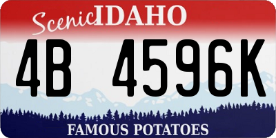 ID license plate 4B4596K