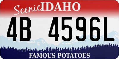 ID license plate 4B4596L