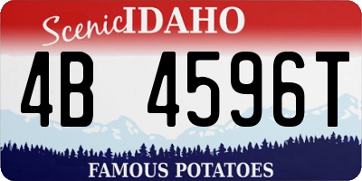 ID license plate 4B4596T