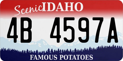 ID license plate 4B4597A