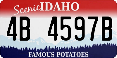 ID license plate 4B4597B