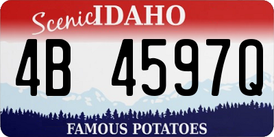 ID license plate 4B4597Q