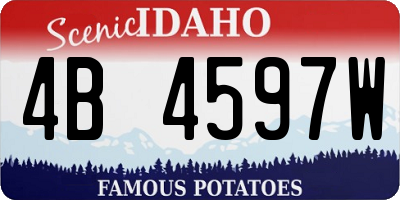 ID license plate 4B4597W