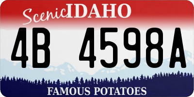 ID license plate 4B4598A