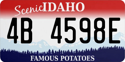 ID license plate 4B4598E