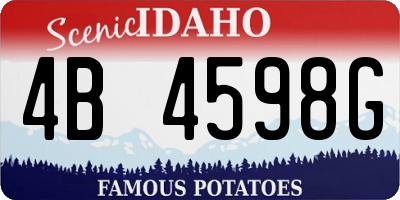 ID license plate 4B4598G