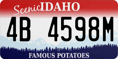 ID license plate 4B4598M