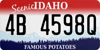 ID license plate 4B4598Q