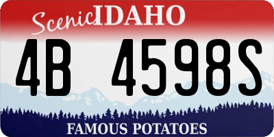 ID license plate 4B4598S