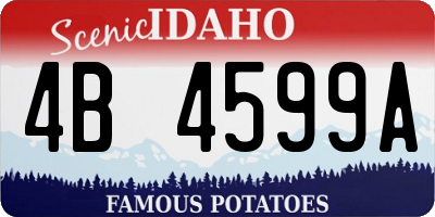 ID license plate 4B4599A