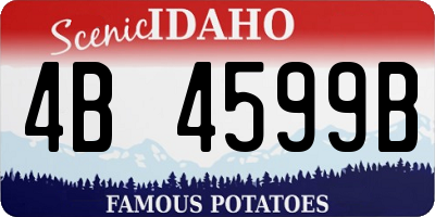 ID license plate 4B4599B