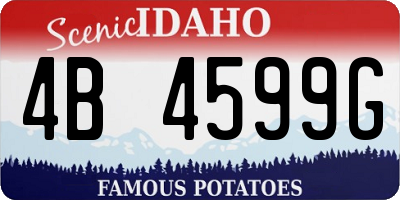ID license plate 4B4599G