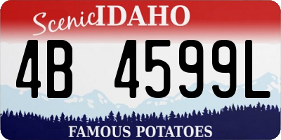 ID license plate 4B4599L