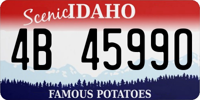 ID license plate 4B4599O