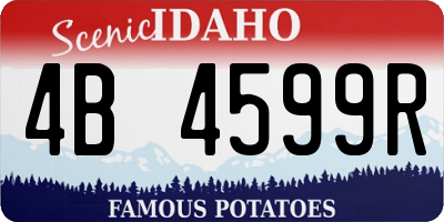 ID license plate 4B4599R