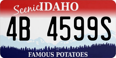 ID license plate 4B4599S