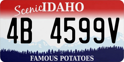 ID license plate 4B4599V