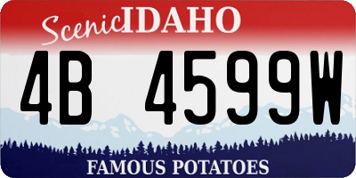 ID license plate 4B4599W