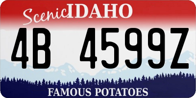 ID license plate 4B4599Z