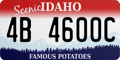 ID license plate 4B4600C