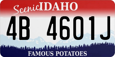 ID license plate 4B4601J