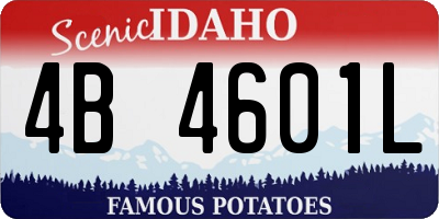 ID license plate 4B4601L