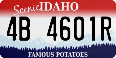 ID license plate 4B4601R