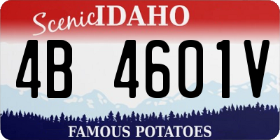 ID license plate 4B4601V