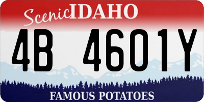 ID license plate 4B4601Y