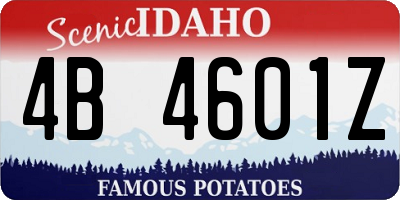 ID license plate 4B4601Z