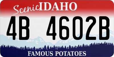 ID license plate 4B4602B