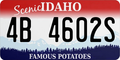 ID license plate 4B4602S