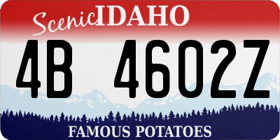 ID license plate 4B4602Z