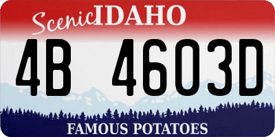 ID license plate 4B4603D