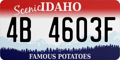 ID license plate 4B4603F