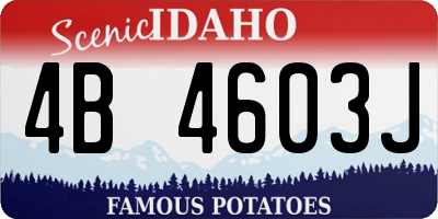 ID license plate 4B4603J