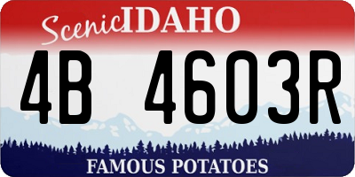 ID license plate 4B4603R